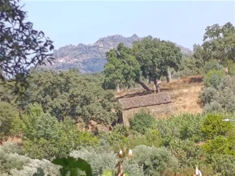 Terreno urbano para venda