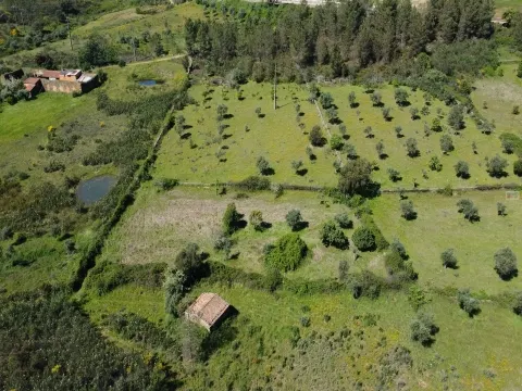 Quinta em Amarelos - 15 min. Castelo Branco