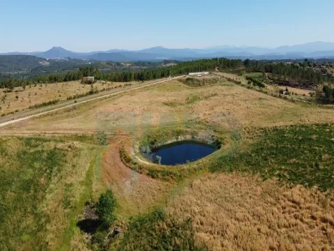 Fattoria/Azienda Agricola