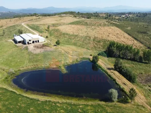 Fattoria/Azienda Agricola