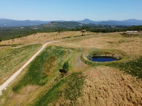 Fattoria/Azienda Agricola