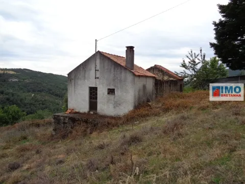 Detached house to restore
