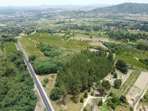 Terreno Rústico c/ 8.331 m² em Aldeia do Souto – Covilhã