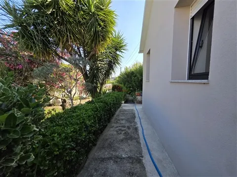 img_18