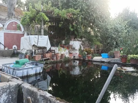 Quinta T4
