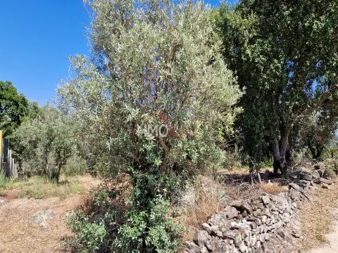 Terreno Para Construção