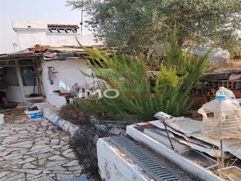 Малая ферма T3+2