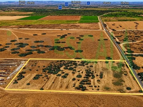 Terreno em Benavente para fins industriais ou agrícolas