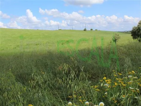 Real Estate building