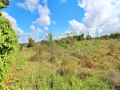 Terreno com área total de 4640 m² no Cartaxo