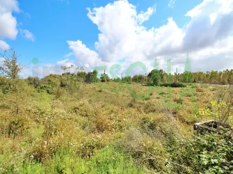 Terreno com área total de 4640 m² no Cartaxo