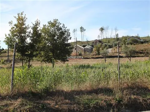 Quinta 2ha Oliveira do Hospital 