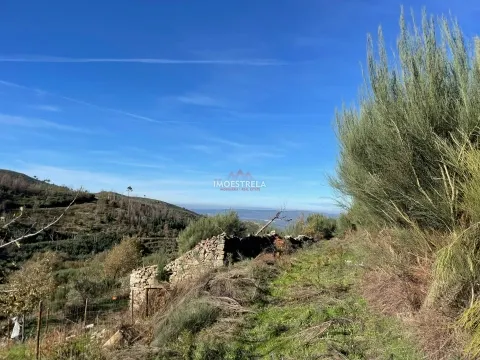 Propriedade com Potencial Turístico e Agrícola