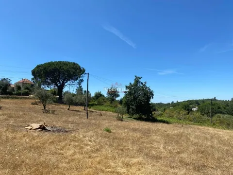 Quinta Folhadosa (construção)