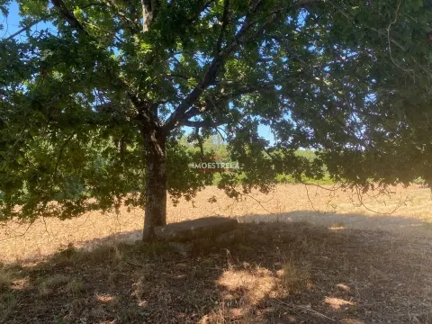 Fabulosa propriedade Tourais