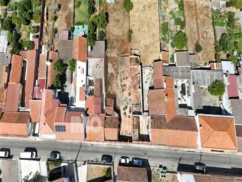 img_1