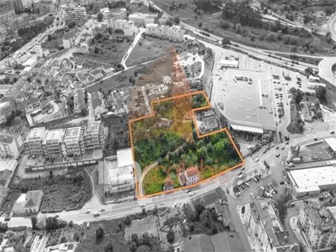 img_8