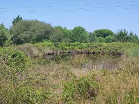 Terreno Rústico situado em Pegões com 90.000m2