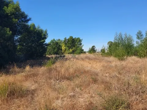 Lote de Terreno Urbano - Pegões