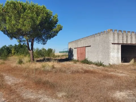 Lote de Terreno Urbano - Pegões