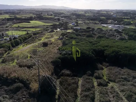 Terreno Rústico com 4.680m2 a venda na Terrugem