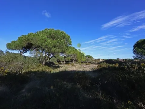 Terreno Rústico com 4.680m2 a venda na Terrugem