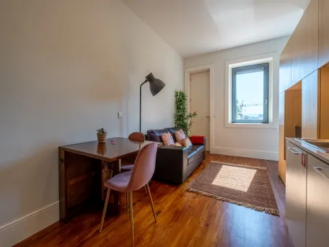 Appartement 0 Chambre(s)+1