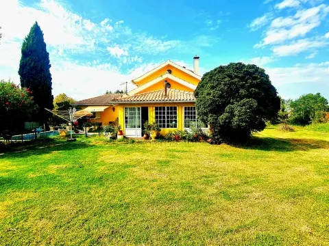 房子 >= 10个房间