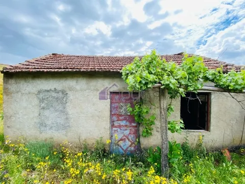 Charming Village House by the River – Mountain Getaway 25km from the City