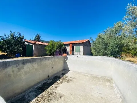 &#127795; Quintinha com 6.140 m² em Louriçal do Campo – Um refúgio entre a serra e o rio! &#127966;&#65039;