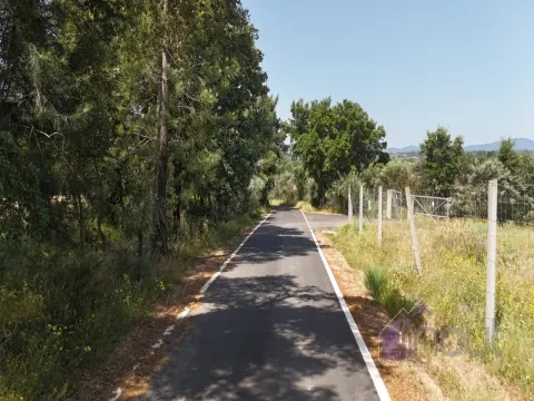Quinta