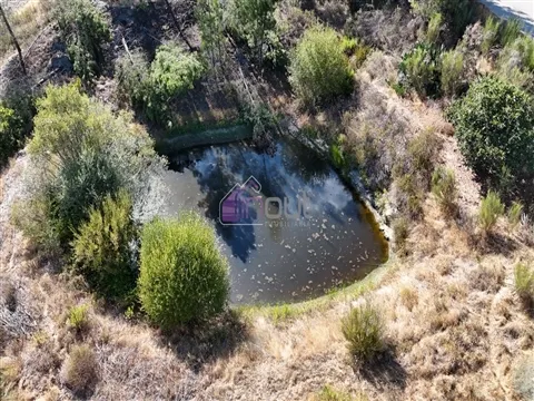 Rustico Terreno