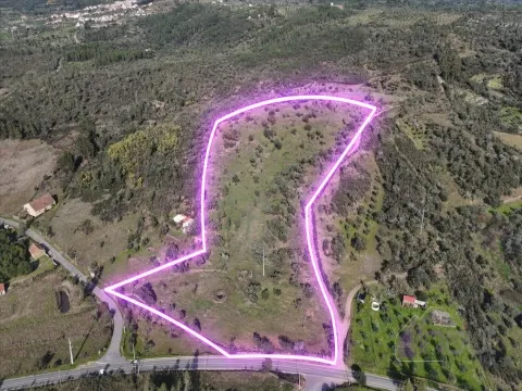 Terreno Rústico com 39.000m² – Potencial para Construção, Agricultura ou Lazer, com Vista Panorâmica