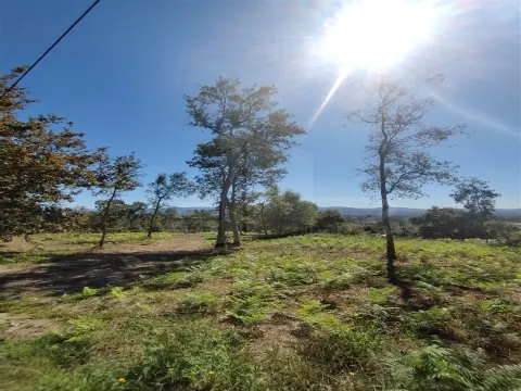 Terreno per Costruzione