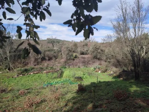Terreno para horta em Monsanto