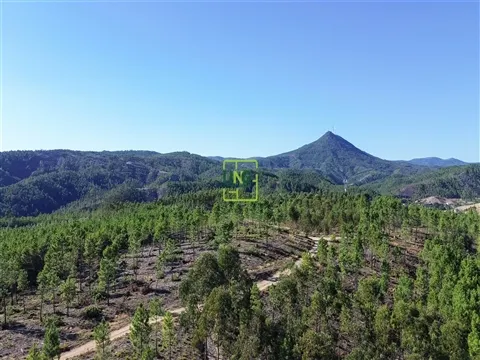 Landgrundstück
