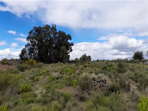 Farm 5200m2 - Quintas da Torre - Fundão - Portugal