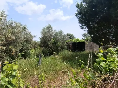 Terreno Rústico em Águas, Penamacor