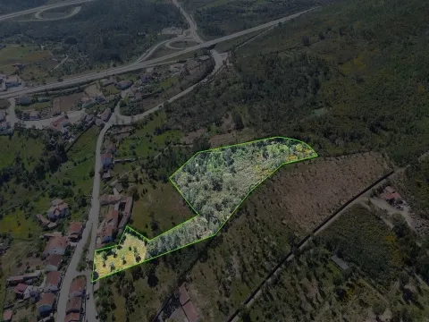 Terreno Rústico para venda com cerca de 7 500 metros na aldeia de Alvaiade, Vila Velha de Ródão