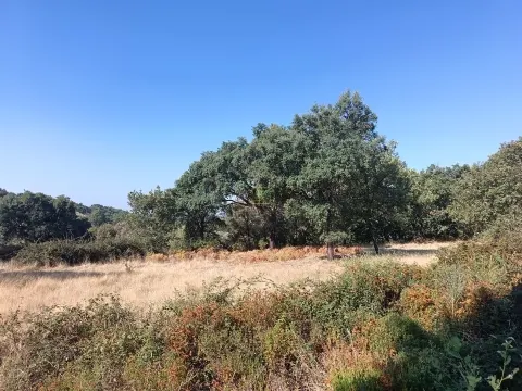 Rustikales Grundstück in Penamacor.
