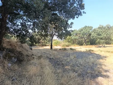 Rustikales Grundstück in Penamacor.