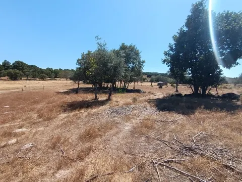 Bauernhof in Penamacor