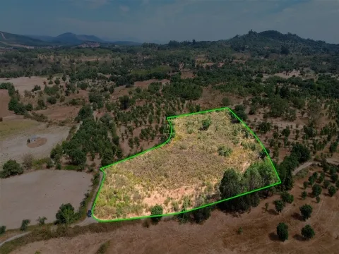 Terrain rustique à Penamacor