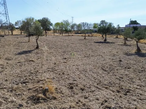 Terreno Rústico à Venda na Lardosa – 4750 m² com 4 Poços de Água