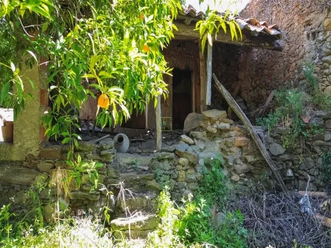 img_9