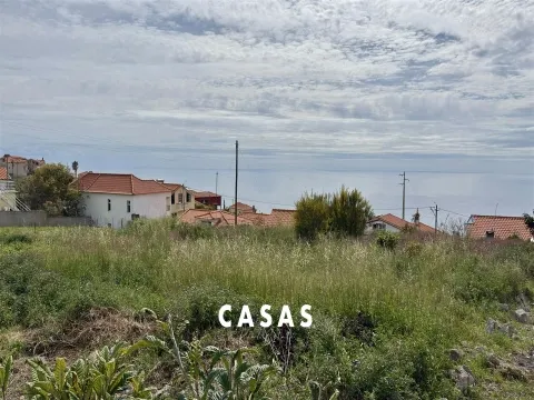 Real Estate