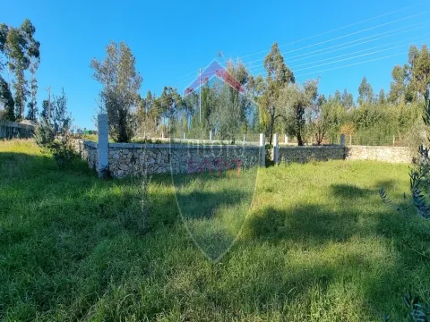 Fattoria / Cascina / Casale