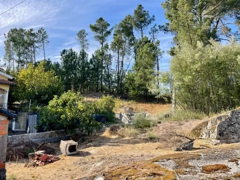 Terreno com viabilidade construtiva em Casal Diz, Penalva do Castelo