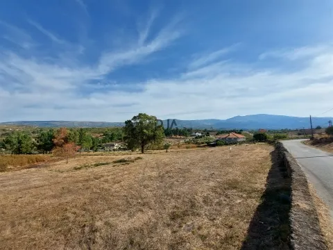 Terreno com viabilidade construtiva em Vila Ruiva, Fornos de Algodres
