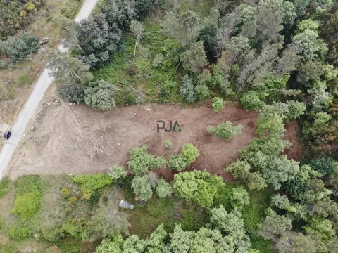 Lote de Terreno Industrial em Quintela de Azurara, Mangualde